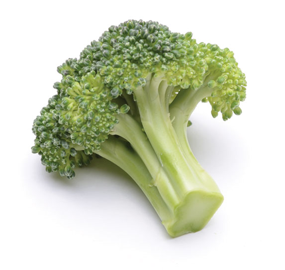 Fisher Ranch Corp. Broccoli